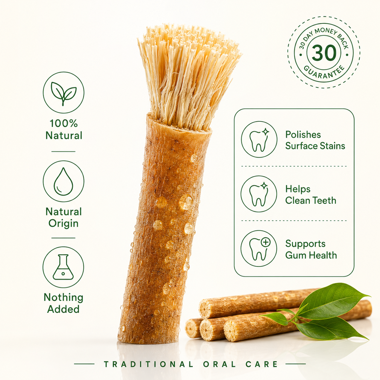 Miswak Chew Stick — Natural Teeth Cleaning & Stain Removal