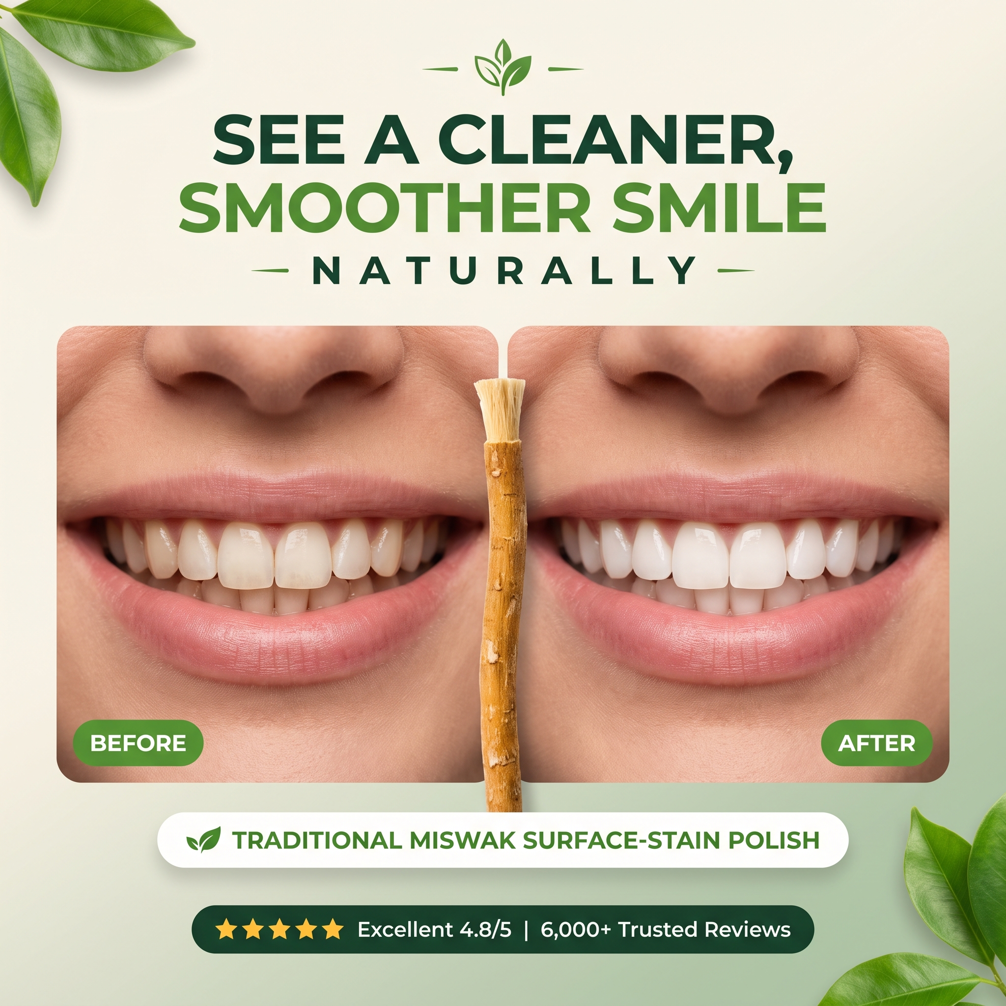 Miswak Chew Stick — Natural Teeth Cleaning & Stain Removal